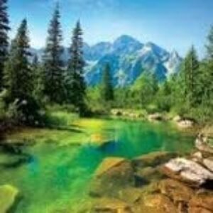 boardenergy adatlap képe