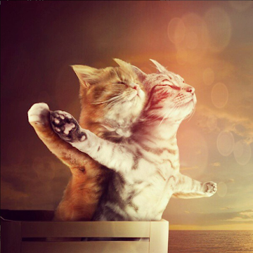 megaoli77 adatlap képe