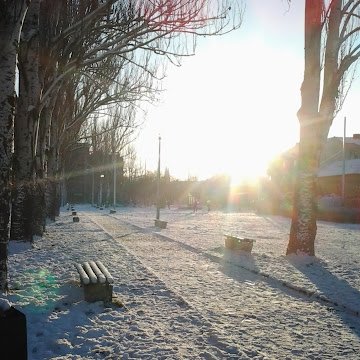 László Juhász adatlap képe